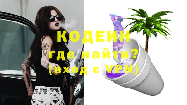 тгк Гусев