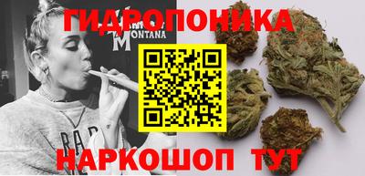 ПСИЛОЦИБИНОВЫЕ ГРИБЫ Гатчина