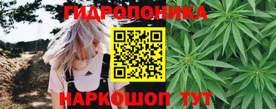 ПСИЛОЦИБИНОВЫЕ ГРИБЫ Гатчина