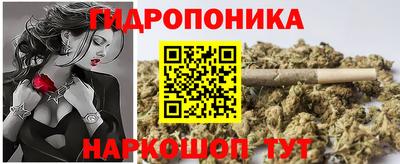 гидра Гагарин