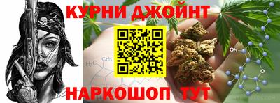 гидра Гагарин