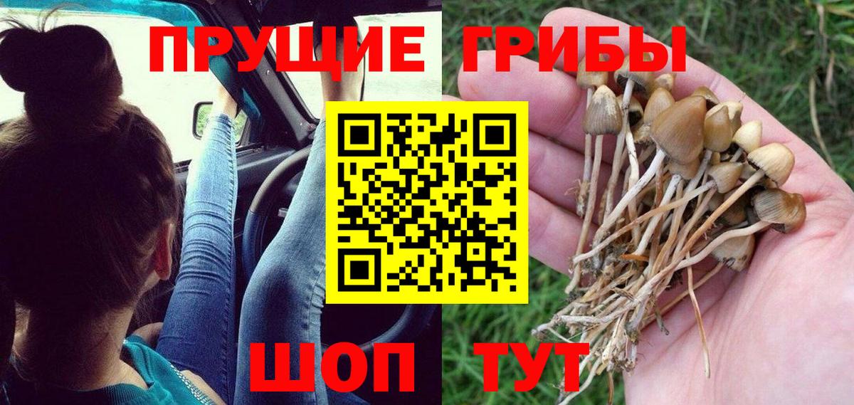 купить наркотики сайты  Донецк  Галлюциногенные грибы прущие грибы 