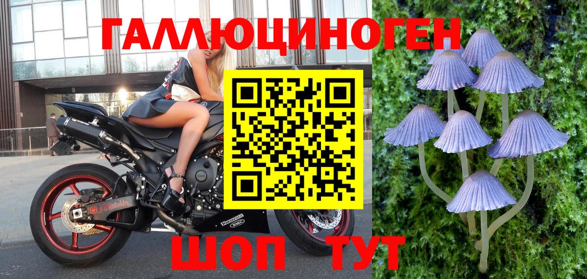 Галлюциногенные грибы прущие грибы Донецк