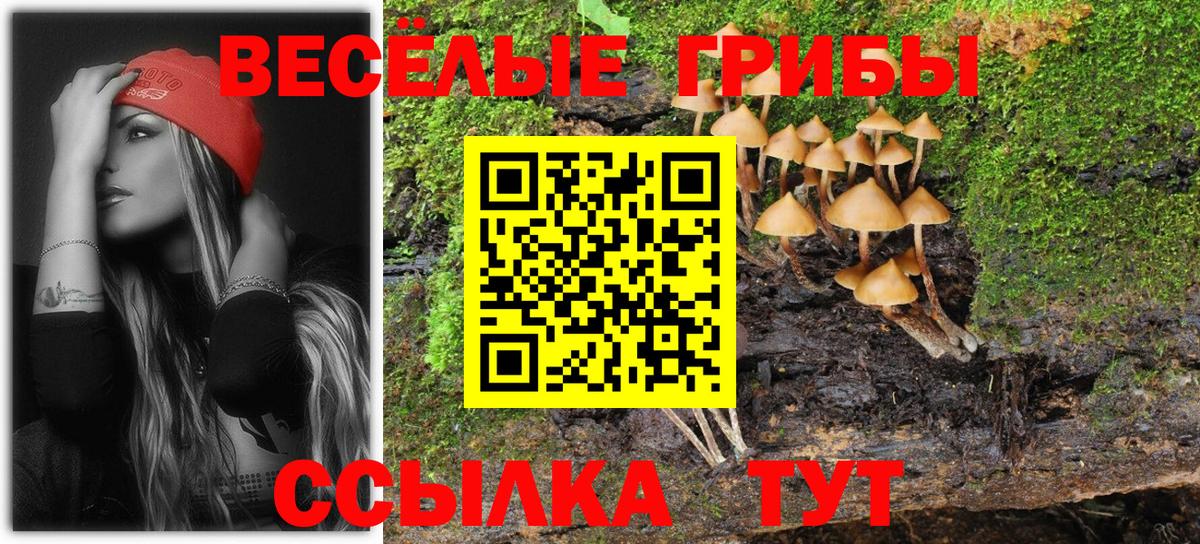 Галлюциногенные грибы MAGIC MUSHROOMS  Вход с VPN  Галлюциногенные грибы Psilocybe  Донецк 