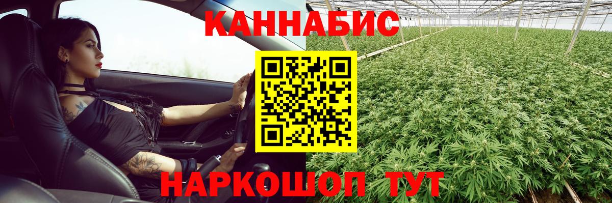 Бошки Шишки Ganja  Вход с VPN  Бошки Шишки семена  Канабис MAZAR  МАРИХУАНА OG Kush  Донецк 